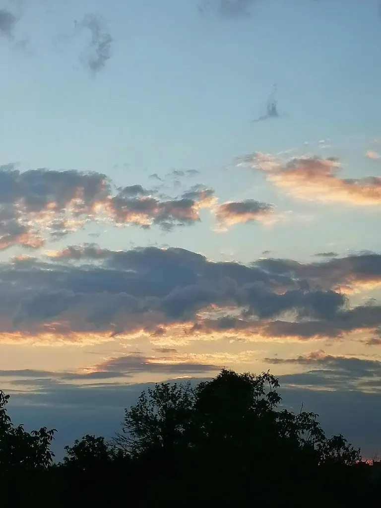 Чайная беседка