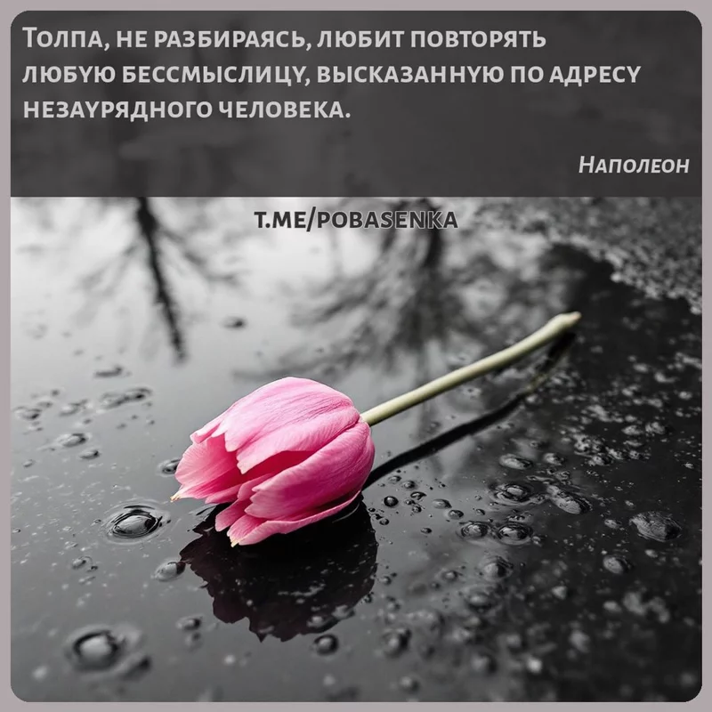 «Толпа, не разбираясь, любит повторять любую бессмыслицу, высказанную по адресу незаурядного...» height="550" width="550"