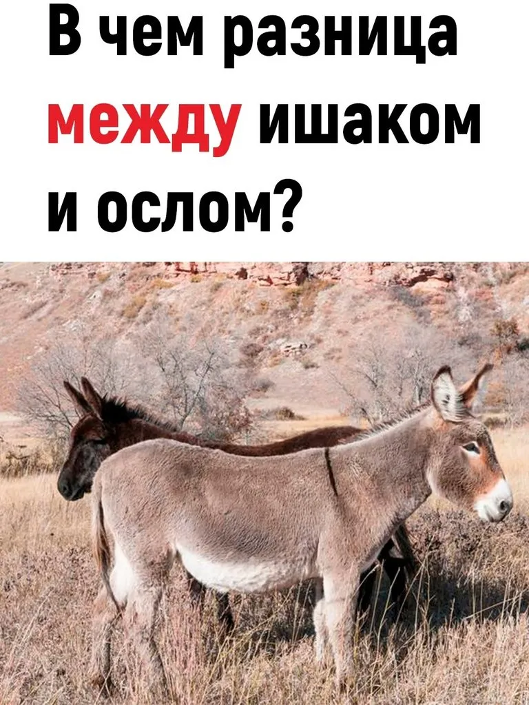Это интересно!