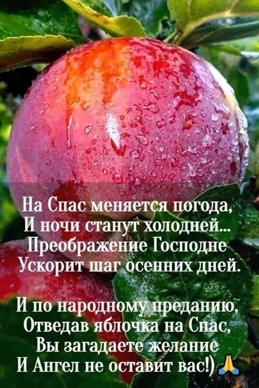 Кафе "У пани Сони"