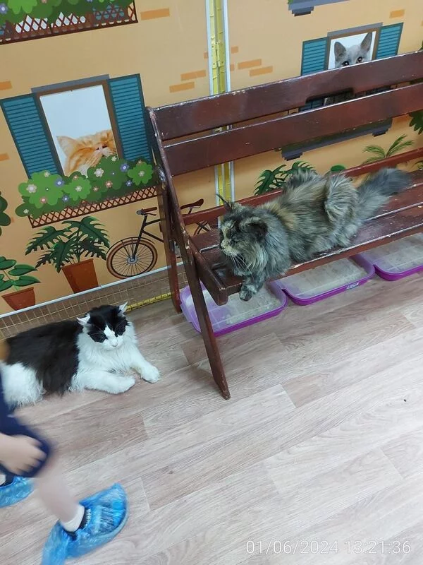 Чайная беседка