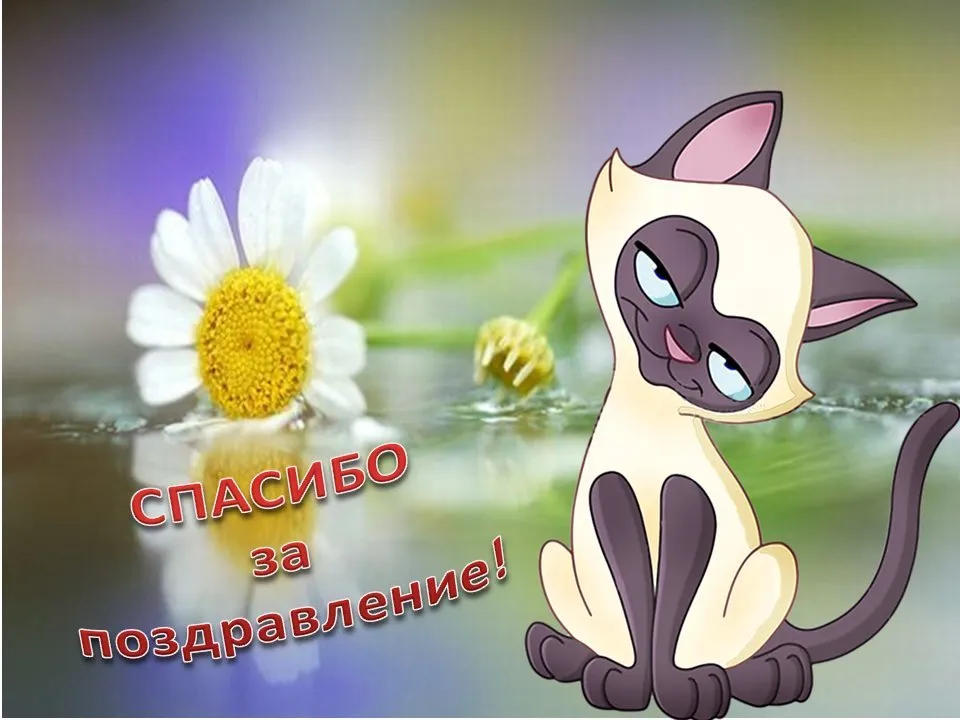 Кафе «У пани Сони»