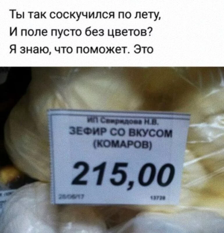 Всюду рифмы