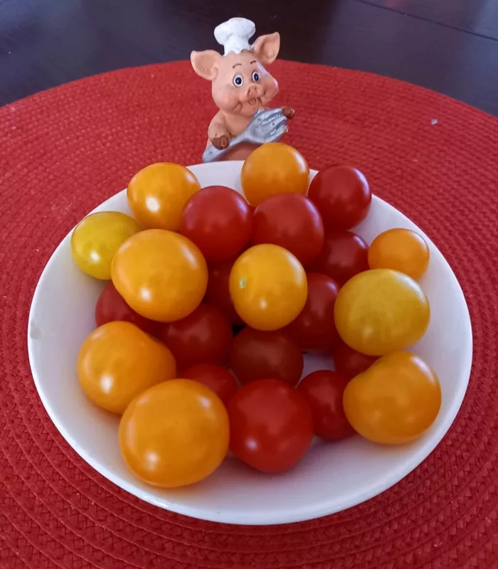 Чайная беседка