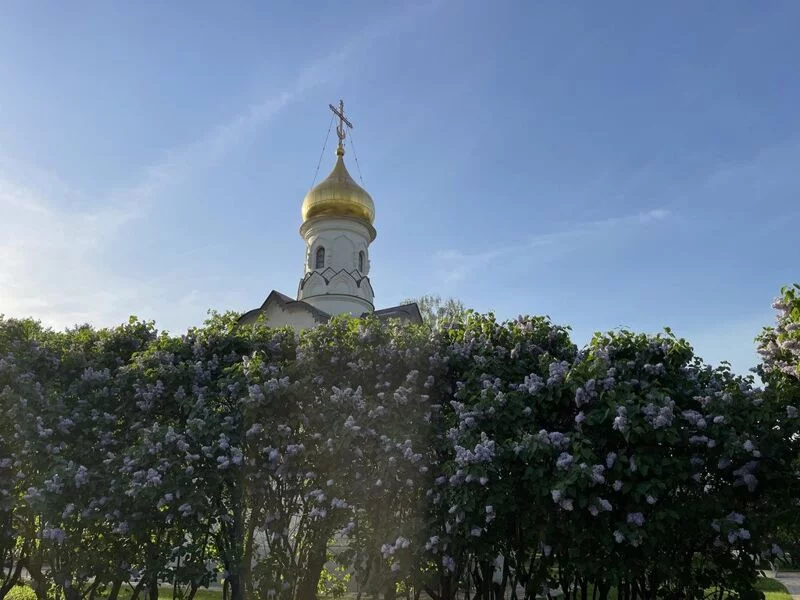 Tapтaлeтки & Ко