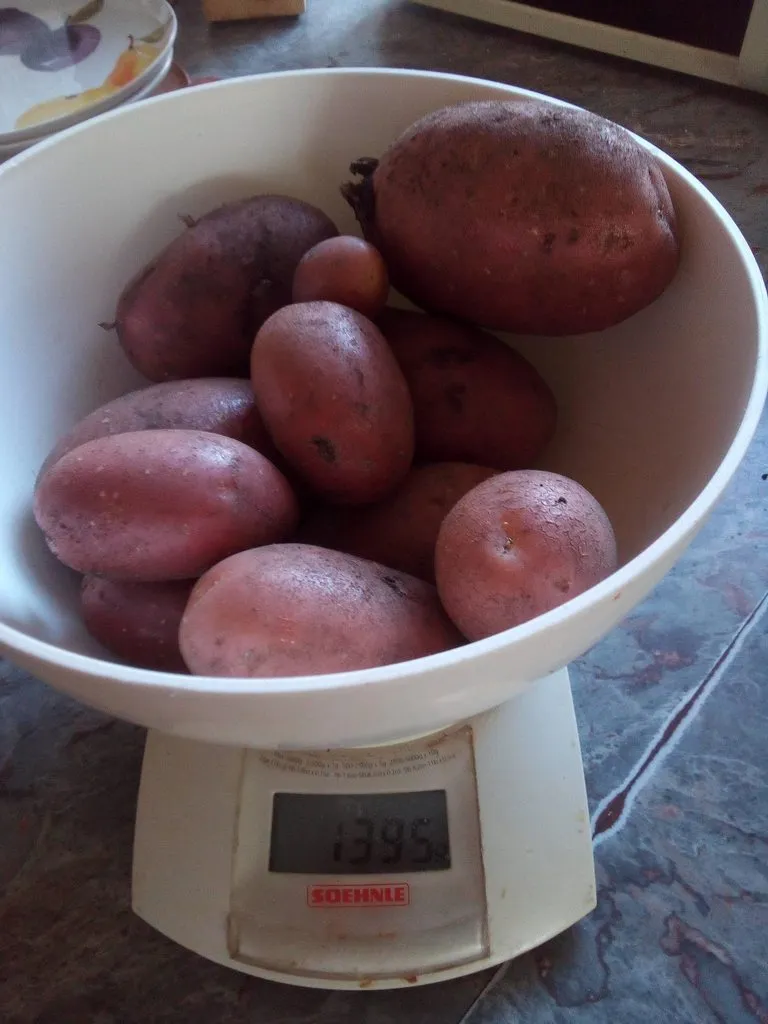 Чайная беседка