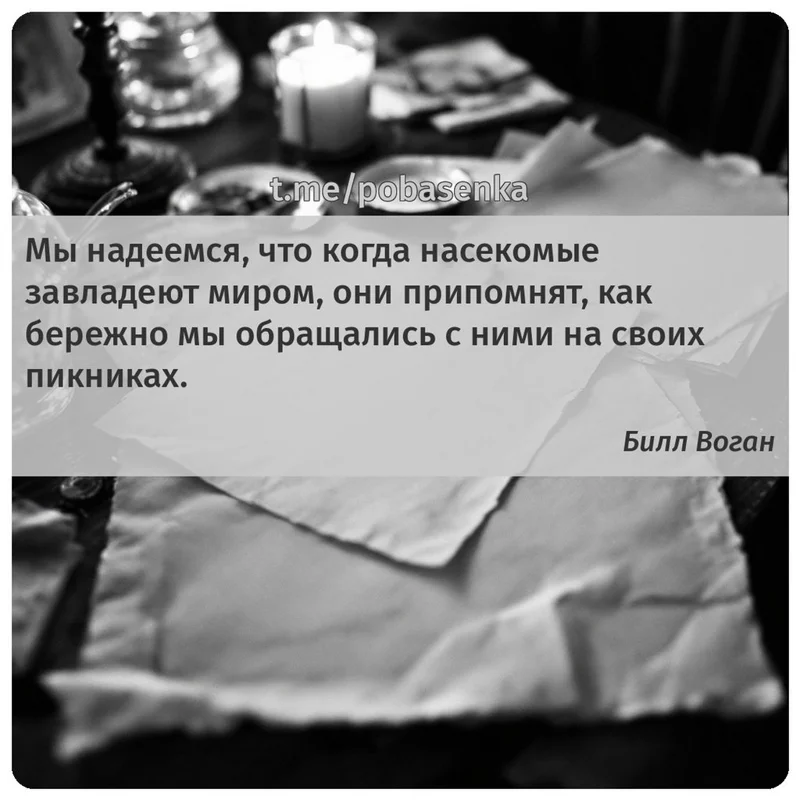 «Мы надеемся, что когда насекомые завладеют миром, они припомнят, как бережно мы обращались с ними на своих...» height="550" width="550"