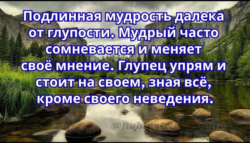 Tapтaлeтки & Ко