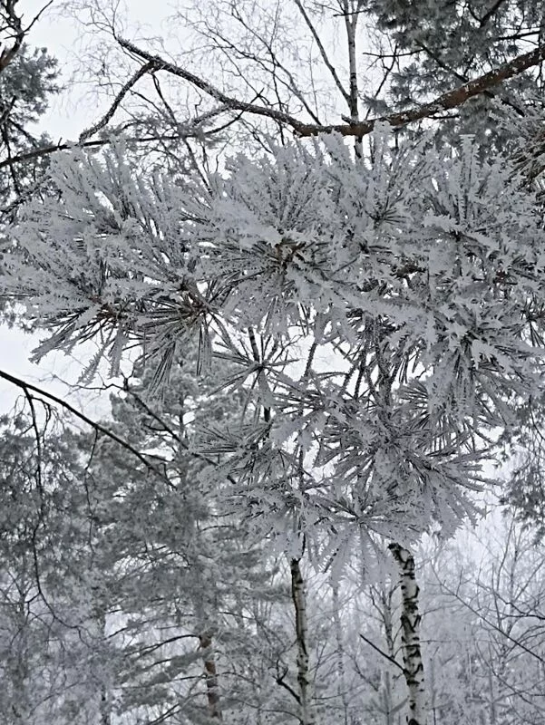 Фотонастроение