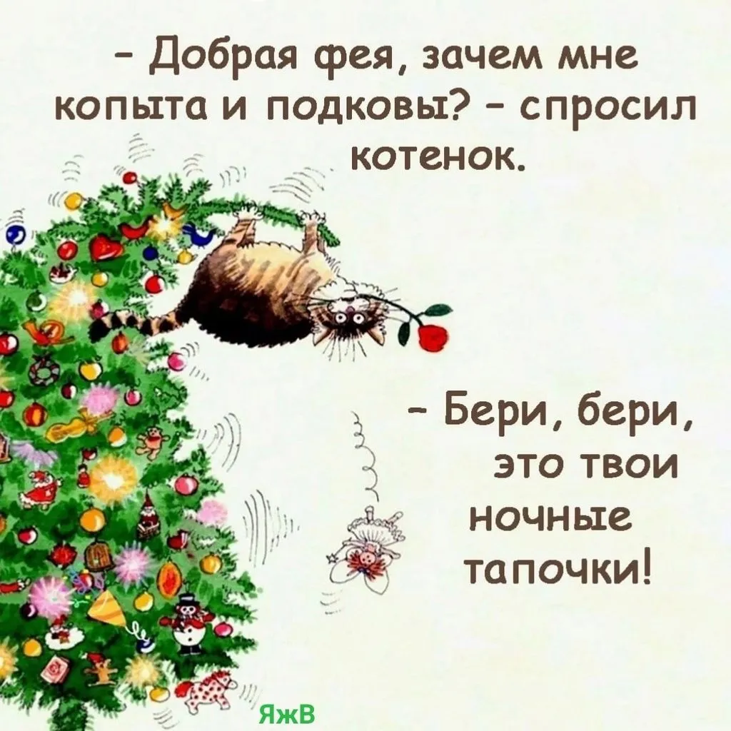 Кто сказал «Мяу»?