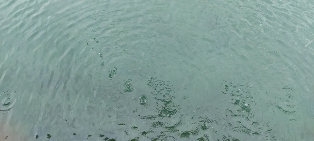 Tapтaлeтки & Ко