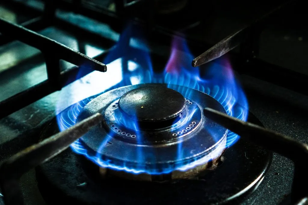 К кому приходили лже-газовщики?
