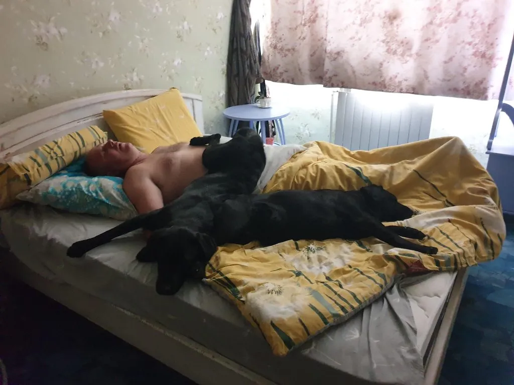 Вышивка крестиком