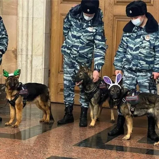 Посмеялся сам - поделись с другом!!!