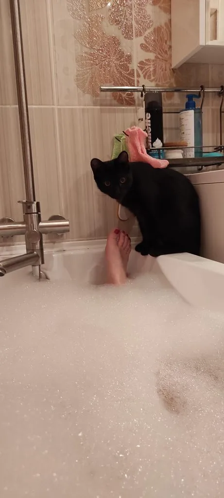 Tapтaлeтки & Ко