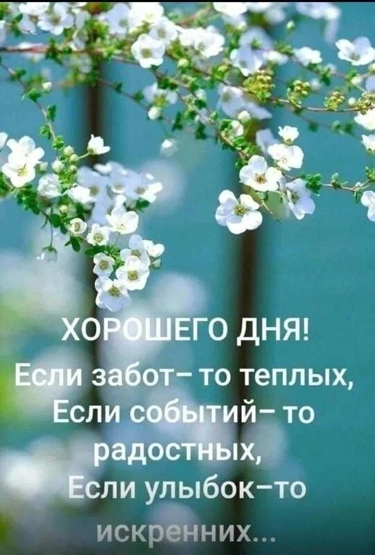 Кафе "У пани Сони"