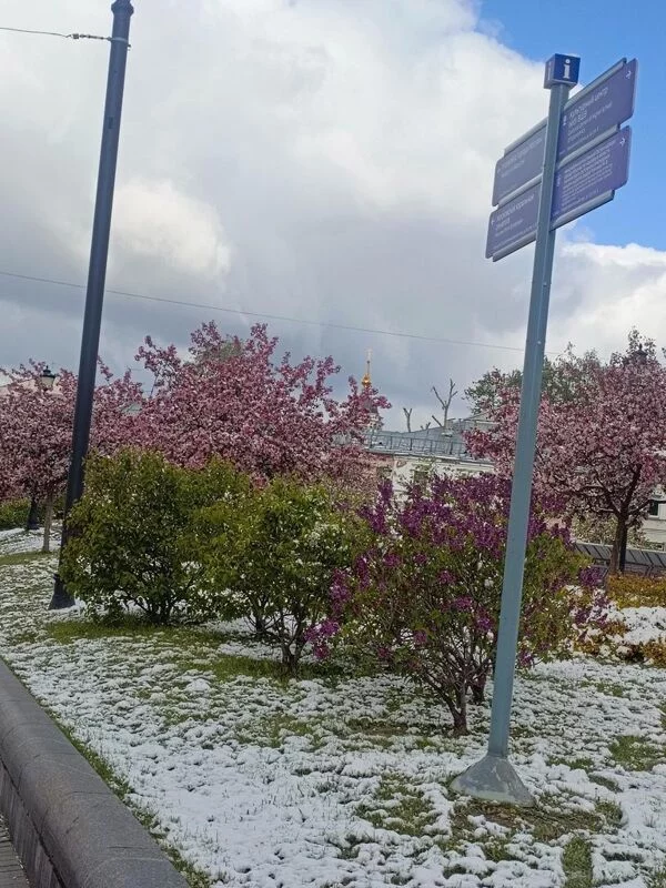 Что в Москве слышно? 