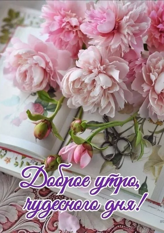 Кафе "У пани Сони"