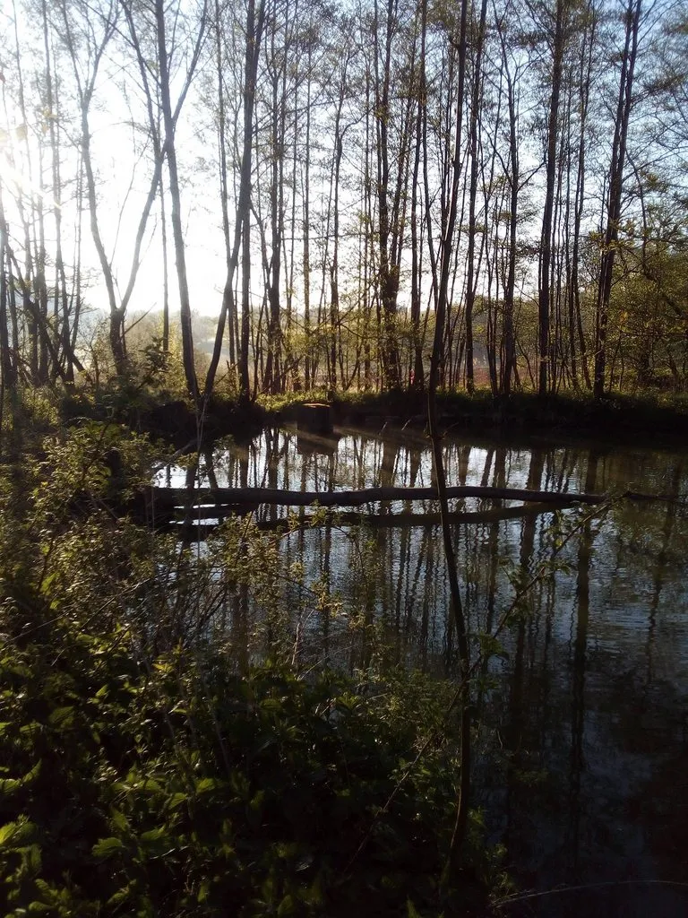 Чайная беседка