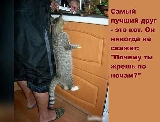 Посмеялся сам - поделись с другом!!!