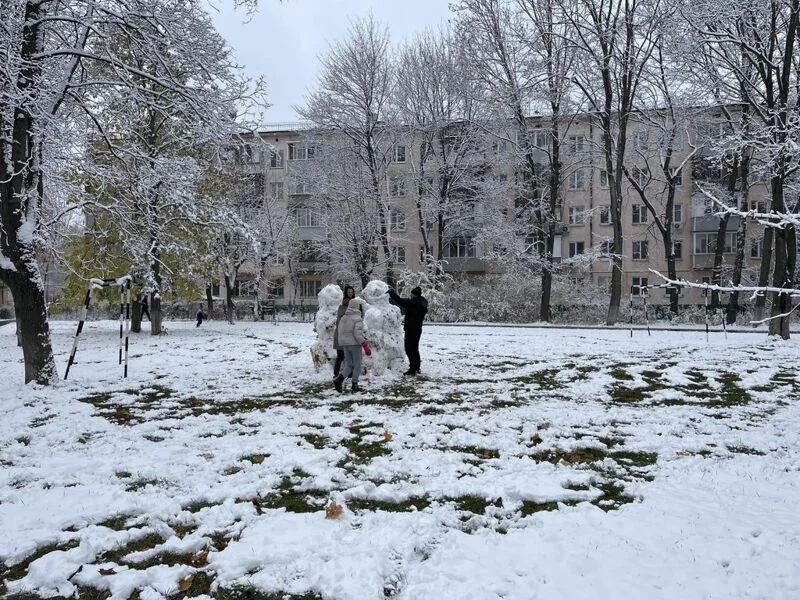 Чайная беседка