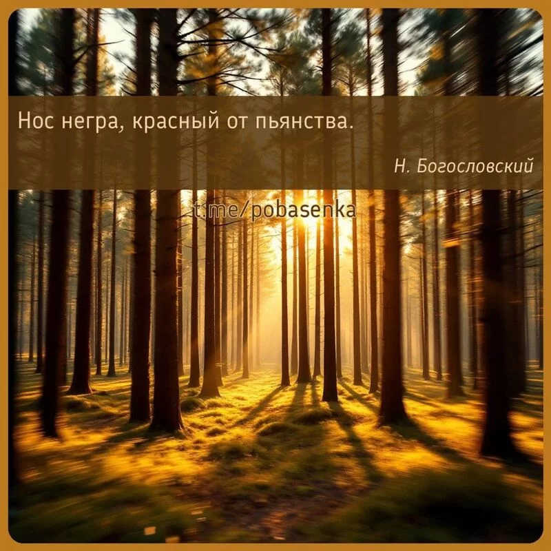 «Нос негра, красный от...» height="550" width="550"