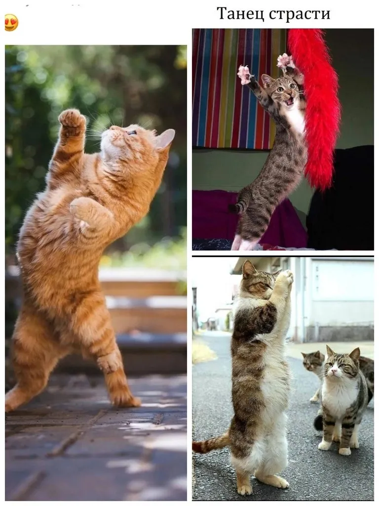 Посмеялся сам - поделись с другом!!!