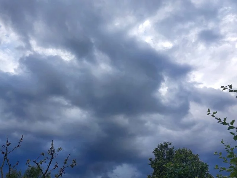 Такое разное небо