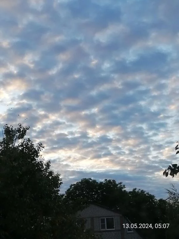 Чайная беседка