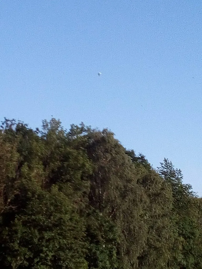 Чайная беседка