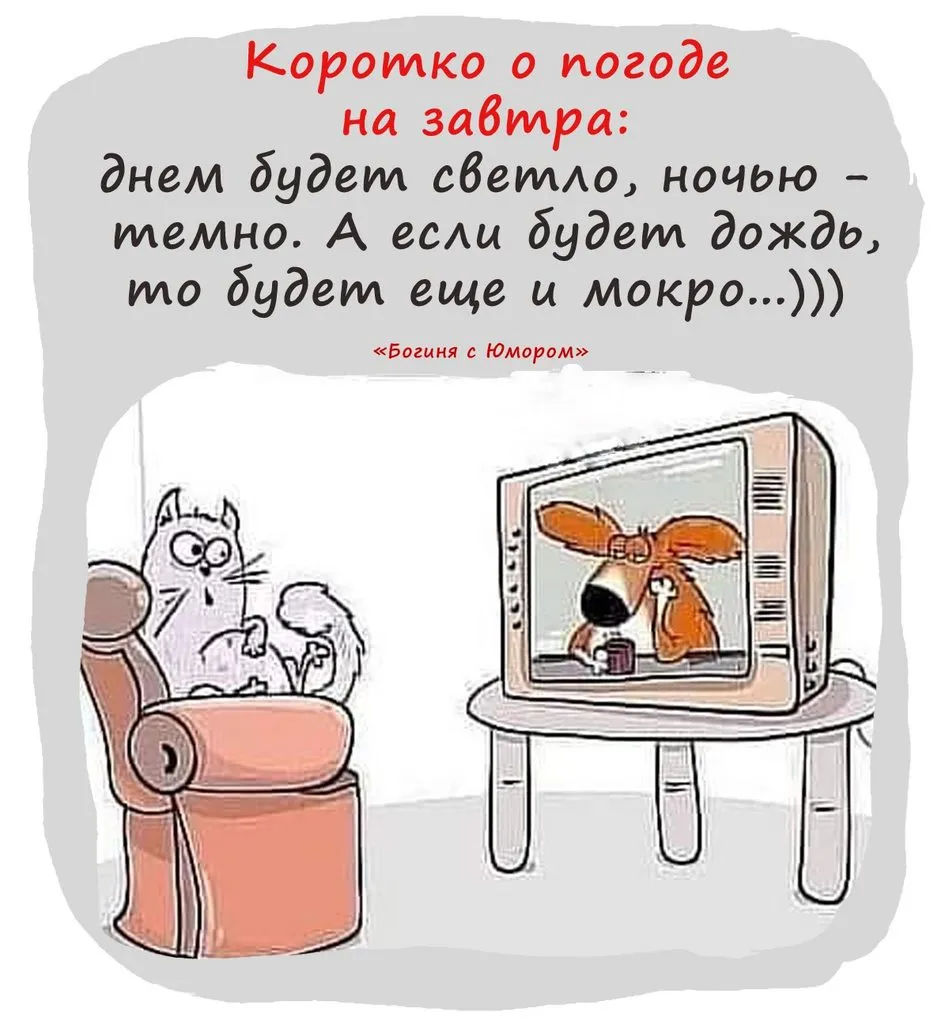 Кафе "У пани Сони"