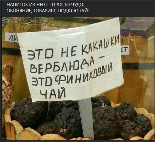 Всюду рифмы