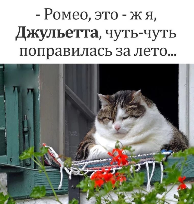 Посмеялся сам - поделись с другом!!!