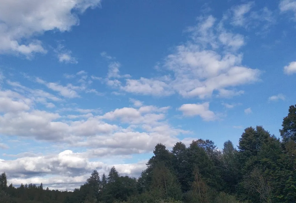 Кафе «У пани Сони»