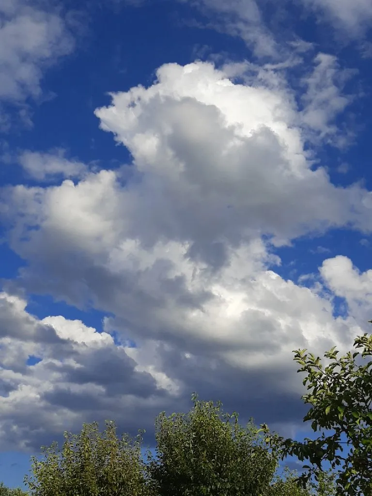 Такое разное небо