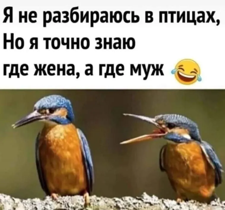 Посмеялся сам - поделись с другом!!!