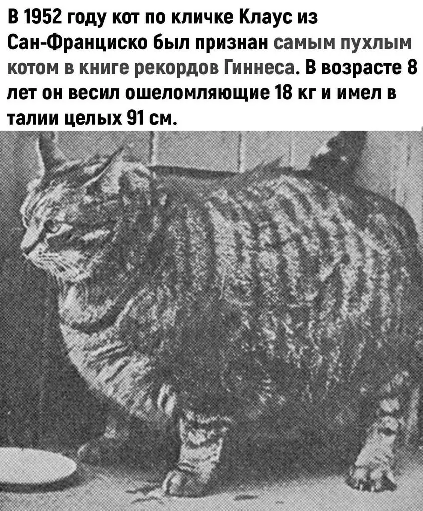 Это интересно!