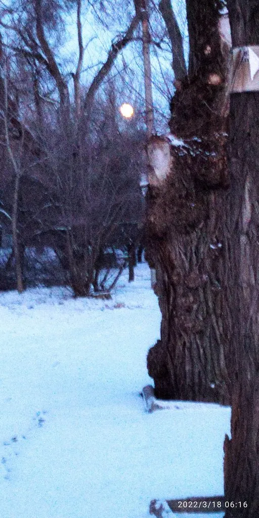 Чайная беседка