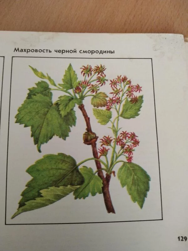 Загородная жизнь - обустройство на своей земле во всем ее разнообразии