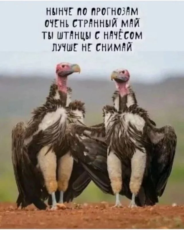 Посмеялся сам - поделись с другом!!!