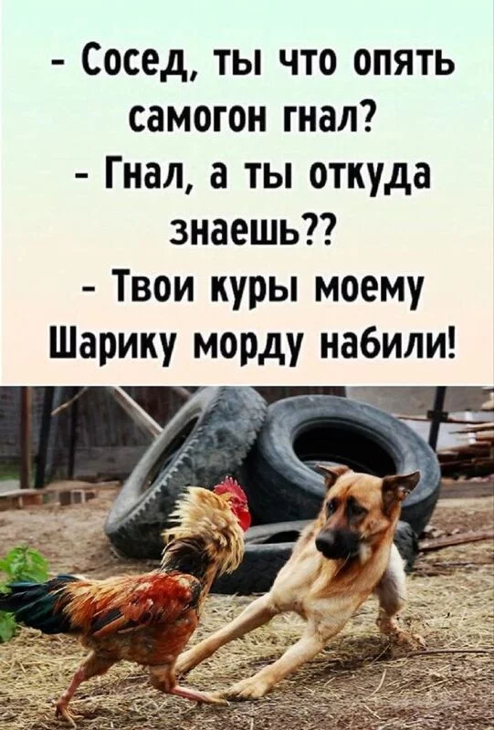 Посмеялся сам - поделись с другом!!!