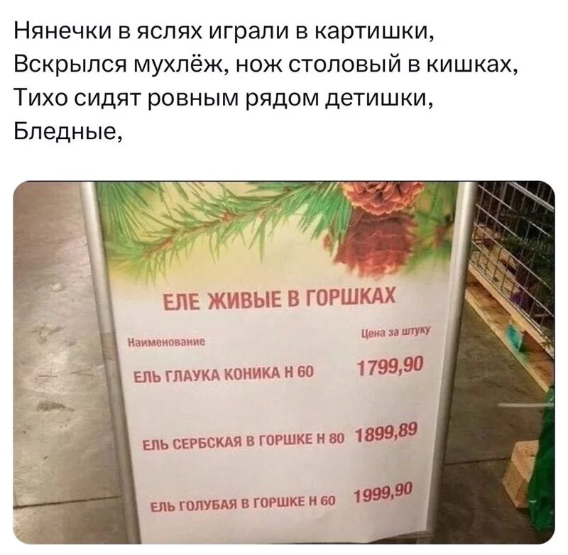 Всюду рифмы