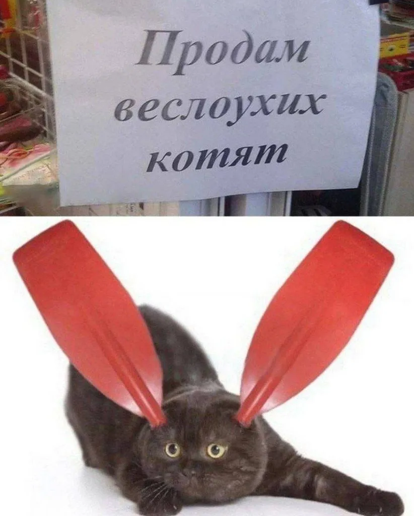 Посмеялся сам - поделись с другом!!!