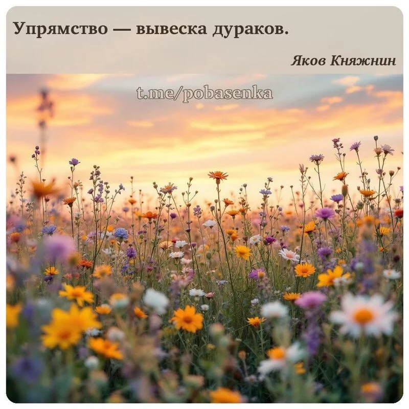 «Упрямство — вывеска...» height="550" width="550"