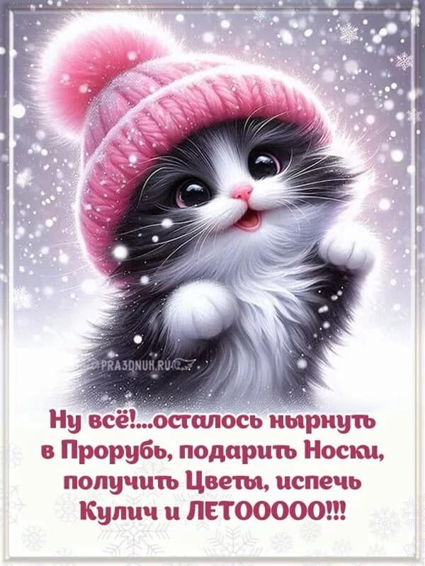 Позитивчик (фото, видео, рассказы для хорошего настроения)
