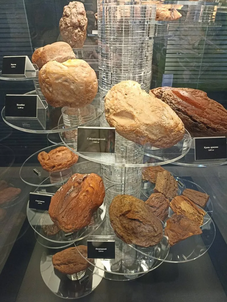 Калининградская область (не только море и янтарь) 