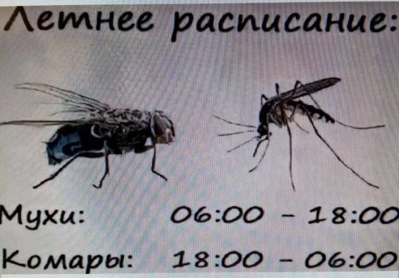 Посмеялся сам - поделись с другом!!!