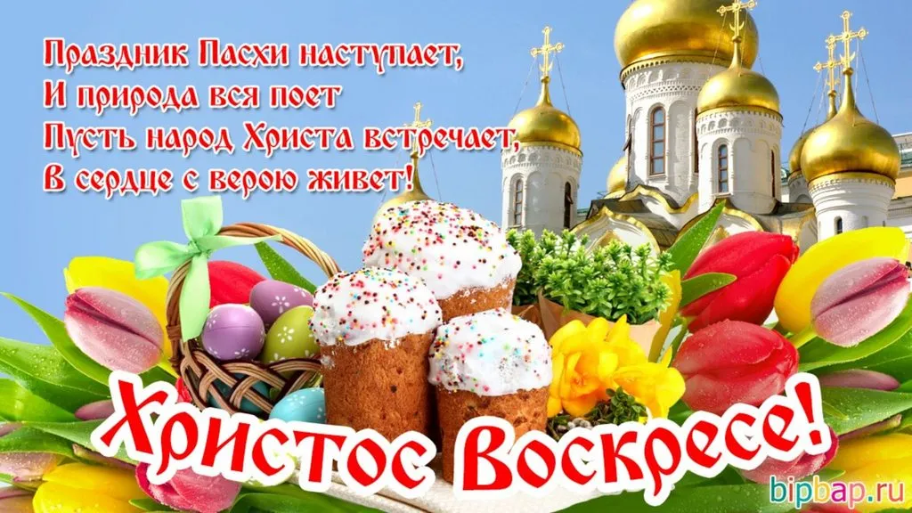 Tapтaлeтки & Ко
