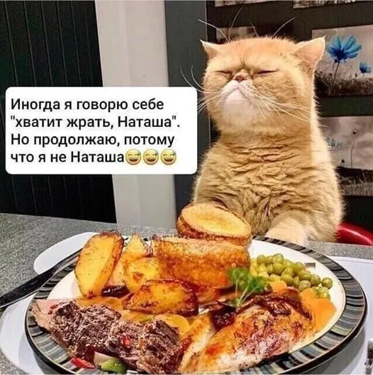 Посмеялся сам - поделись с другом!!!