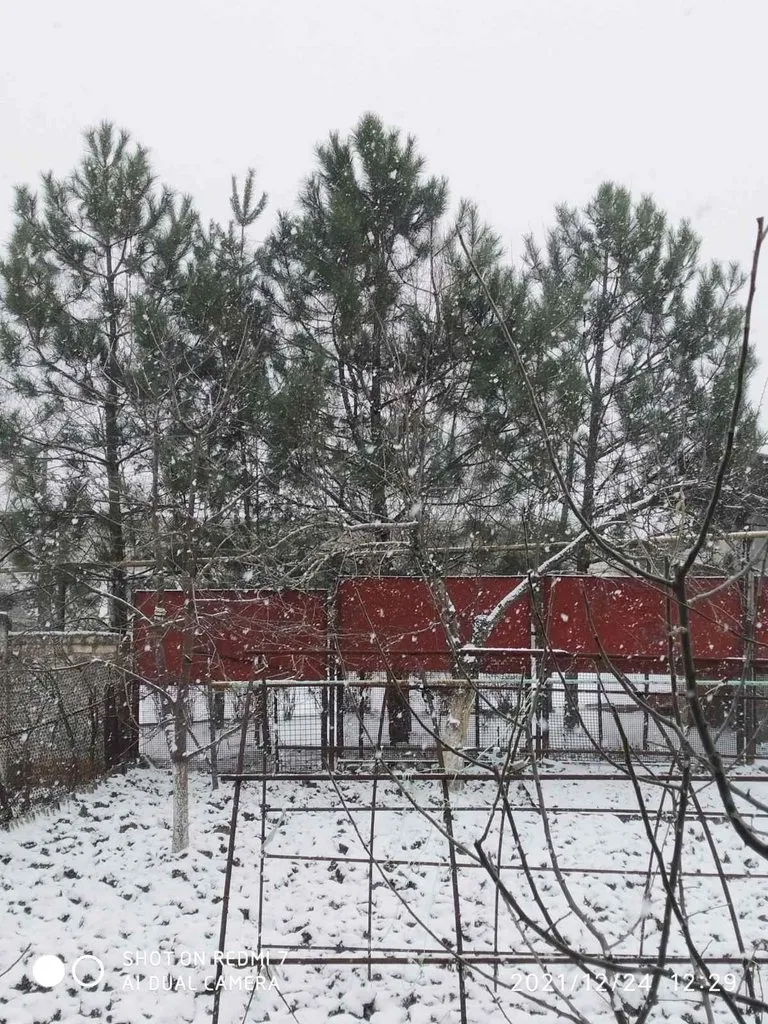 Чайная беседка